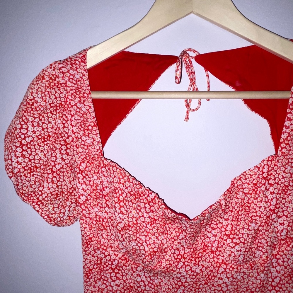 Rumor Dress - LF brand - Picture 11 of 12